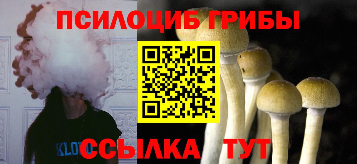 продажа наркотиков  Вход с VPN  Астрахань  Псилоцибиновые грибы Psilocybe  Галлюциногенные грибы GOLDEN TEACHER 